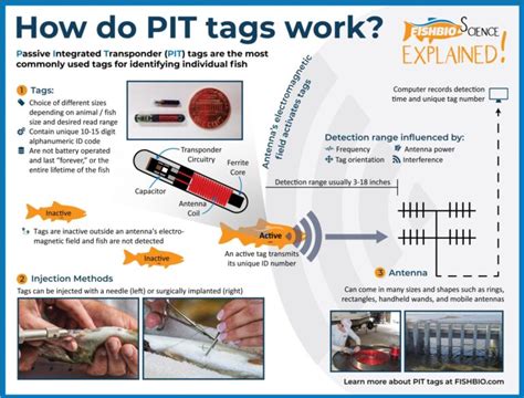 rfid vs pit tag|pit tags for fishing.